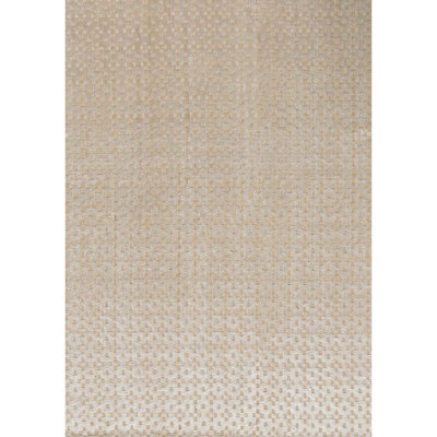 Geometric Area Rug in Brown