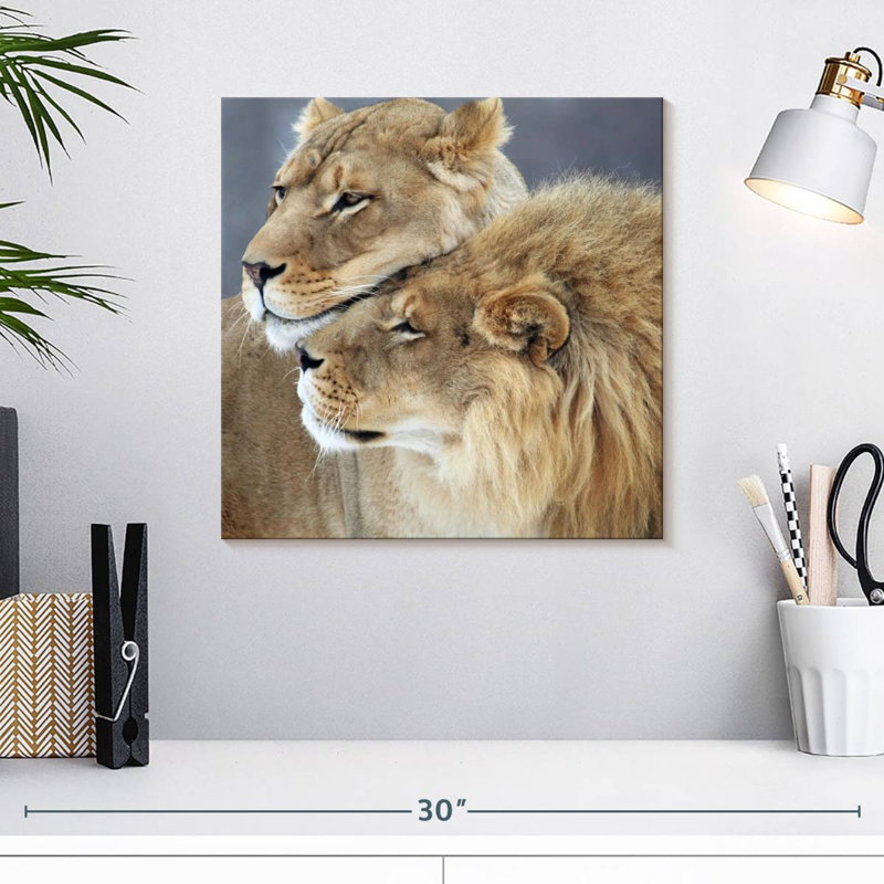 Amour de lion et de lionne Brampt, H 16 po x l 16 po