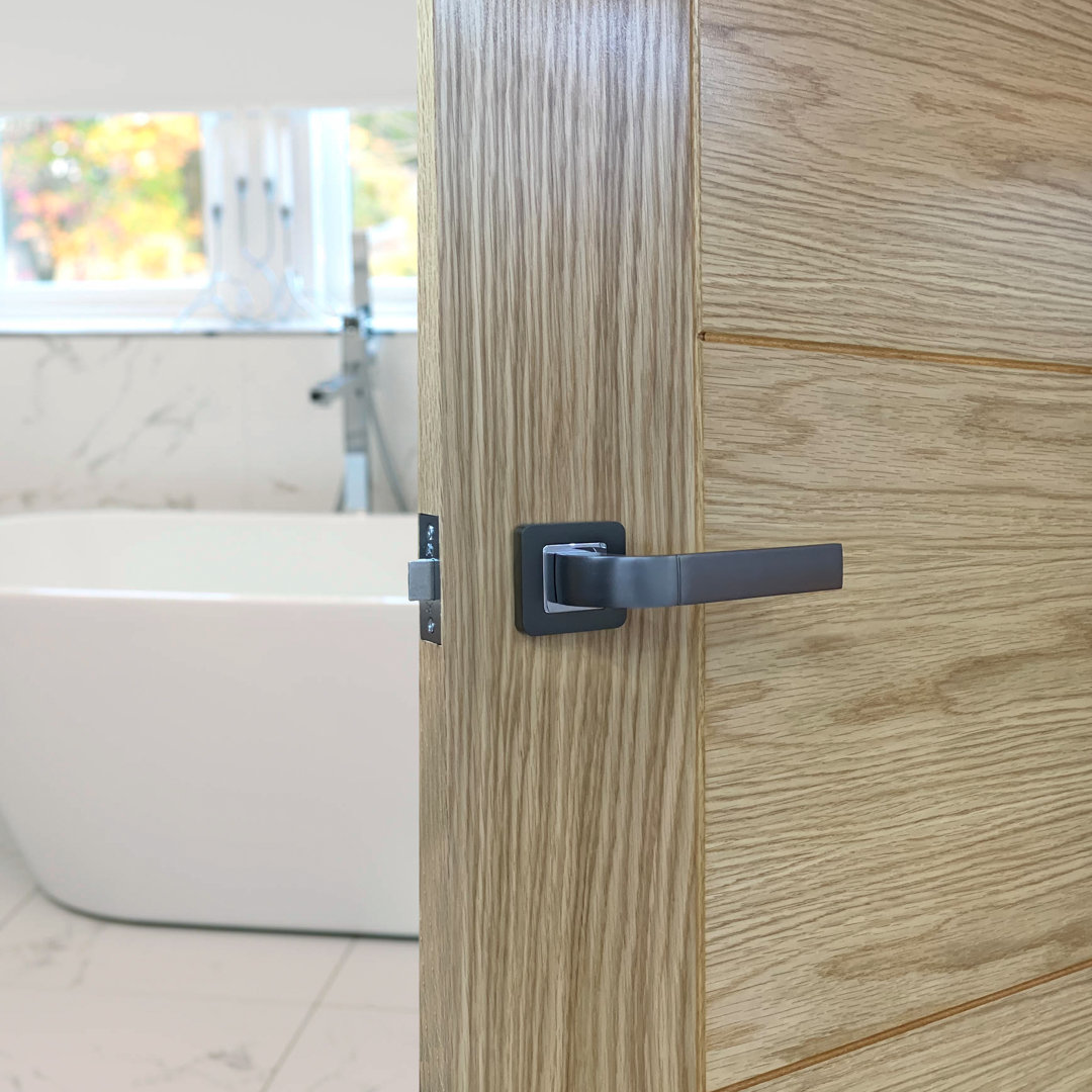 Houston Privacy (Bed & Bath) Door Handle