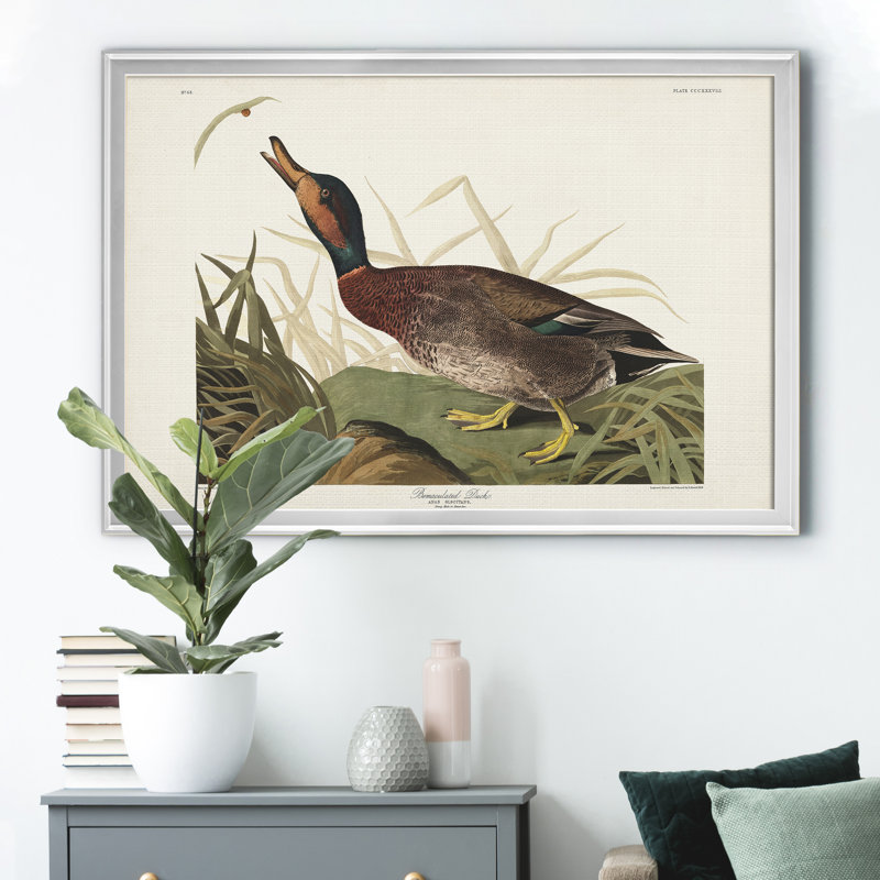 Bemaculé canard - reproduction de photo sur toile, H 30,5 po x l 42,5 po x P 1,5 po, Argent