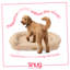 Pet Bed-131352279-131352281