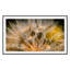 Float Away Print by Geoffrey Baris-48617804-48617810