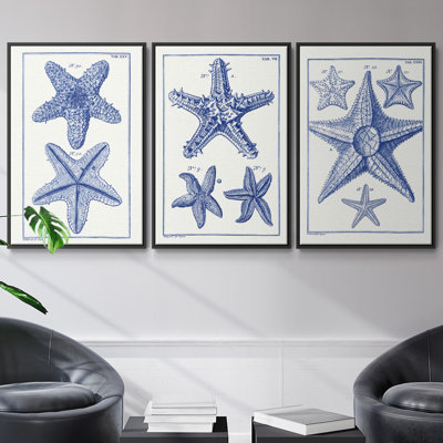 Blue Sea Stars IV - ensemble de 3 reproductions de photos sur toile