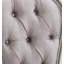 Chaise d'appoint Ariadne en velours et finition platine antique (ensemble de 2)