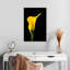 Harnek fleur de lys Calla-108231511