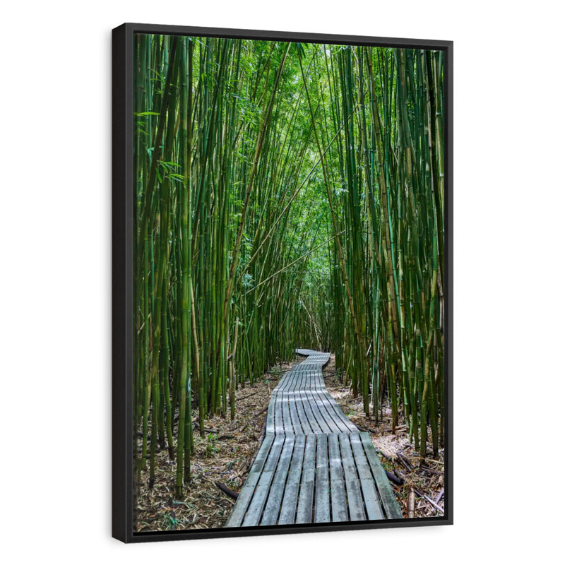 Hana Bamboo Forest, Floating Frame Black, 29" X 43"