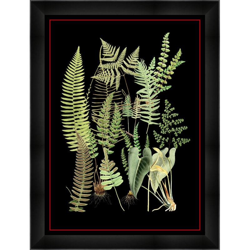 "Fern 2" par Thom Filicia - cadre photo, impression sur papier