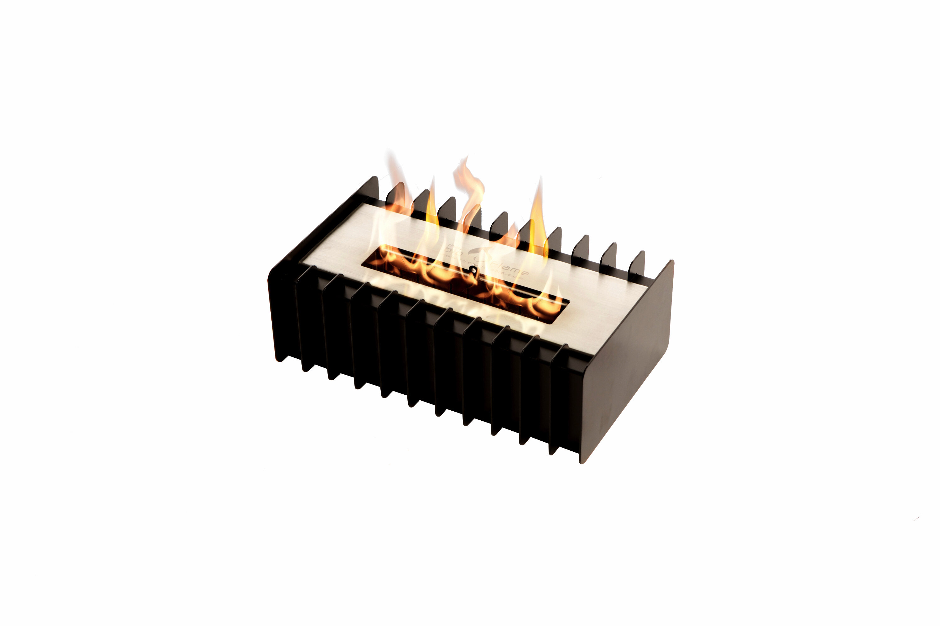 BioFlame Bio-Ethanol Fireplace | Wayfair