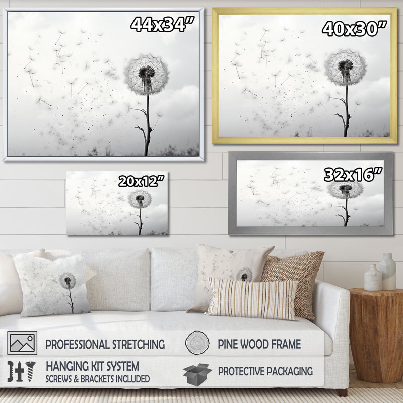 «Minimalims Dandelion Natures Fragility I», art mural sur toile pissenlit, H 24 po x l 32 po x P 1 po, Silver Floater Framed