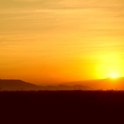 Golden Sunset by Guenterguni