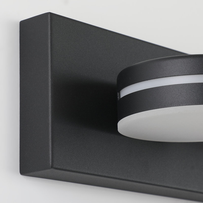 Luminaire de salle de bain DEL Ravo à haute transmission et intensité variable 5500K avec tête rotative à 270 ° , Noir mat