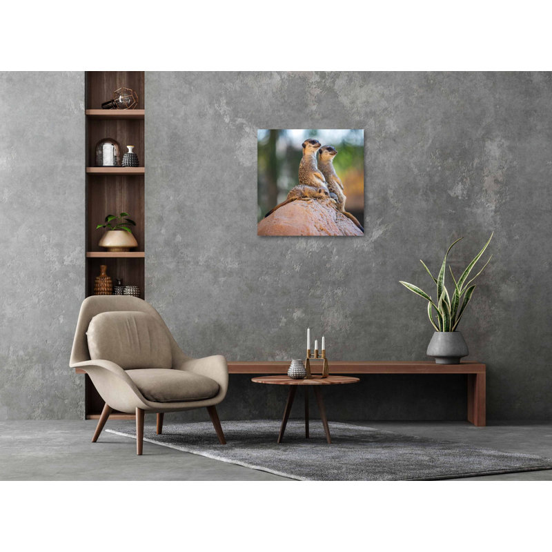 Wildlife 017 - No Frame Square Print on Metal