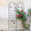 Ensemble de 2 treillis de jardin en métal, support pour plante grimpante antirouille avec un design élégant de libellule pour la décoration extérieure-1909199572