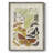 Antique Moths I Framed Print - Solid Wood