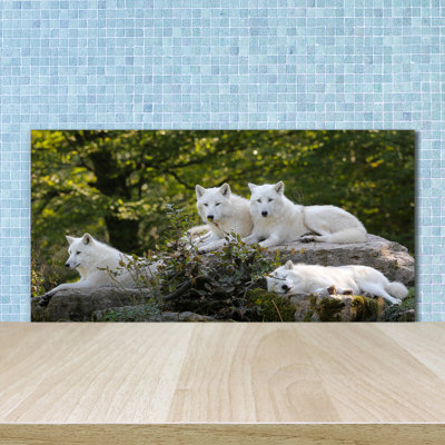 Forance 50cm W x 100cm L Glass Peel and Stick Panel