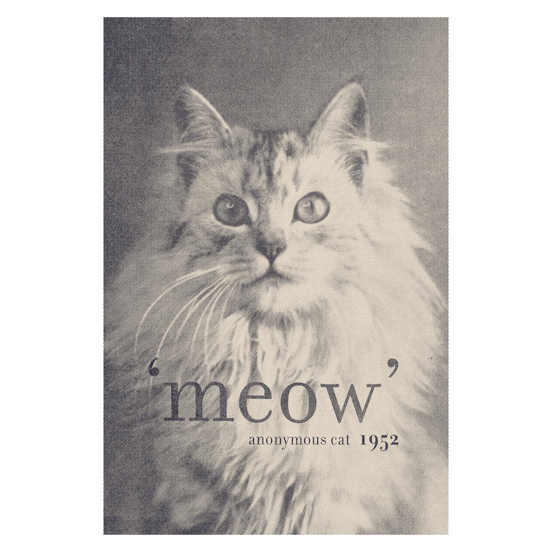 « célèbre quotes (chat) », impression sur toile tendue, H 18 po x l 12 po x P 1,5 po