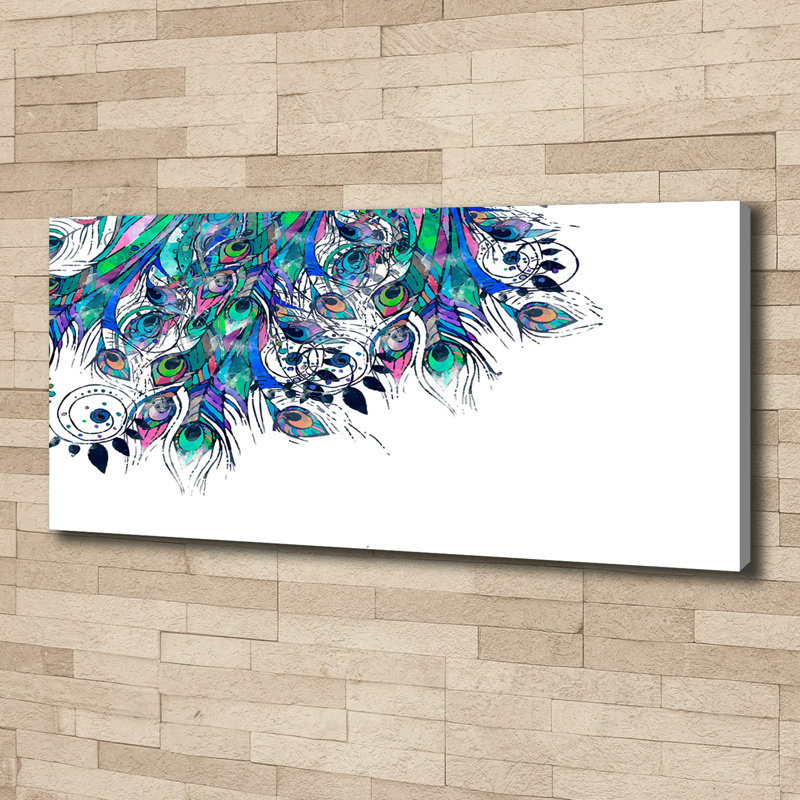 Peacock Feathers - Wrapped Canvas Print