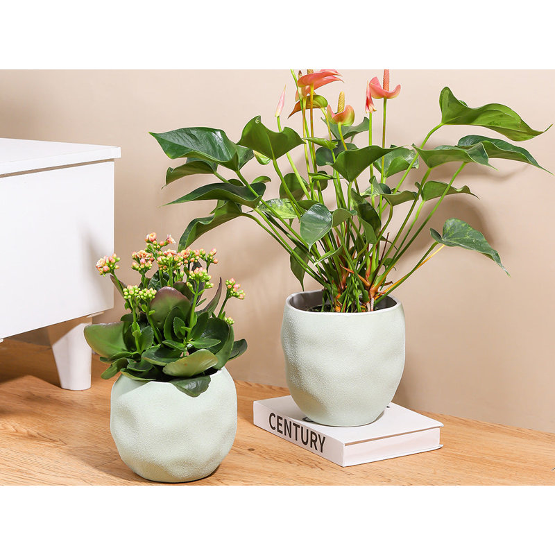 Hand Formed Grower Pot By 