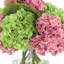 Hortensias disposés dans un vase en verre Real Touch-1042075415