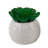 4'' Faux Succulent in Pot