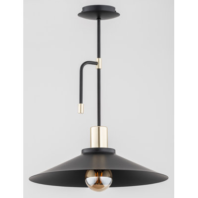 - Light Pendant
