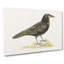 Rook by Von Wright - Wrapped Canvas-55324349