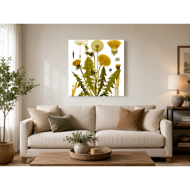 Taraxacumofficine (pissenlit) - plantes de Kouchler (1887) - art mural carré sur toile, 16" W x 16" H