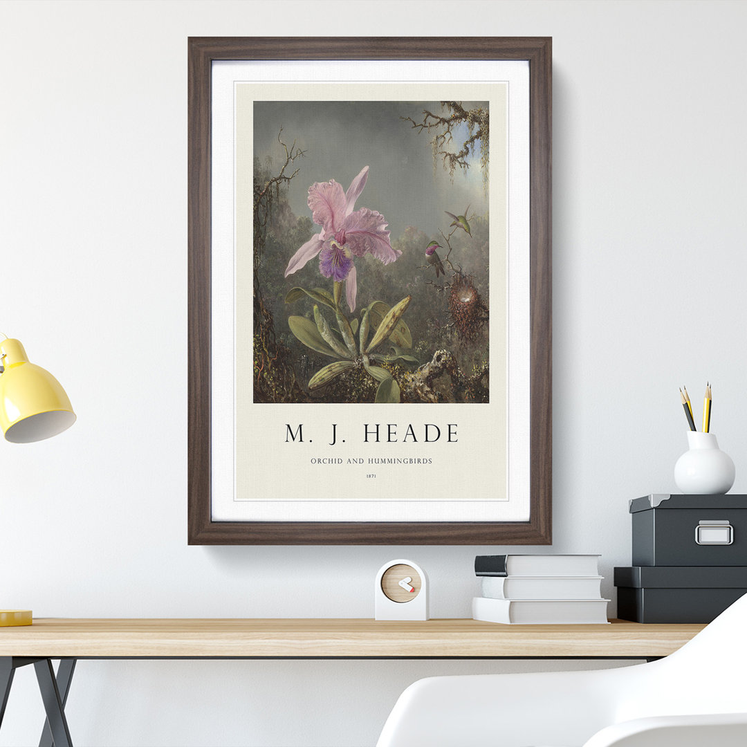 Cattleya Orchid and Hummingbirds by Martin Johnson Heade - Framed Print