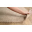 Aiden Hand Tufted Wool Area Rug in Ivory-618811783