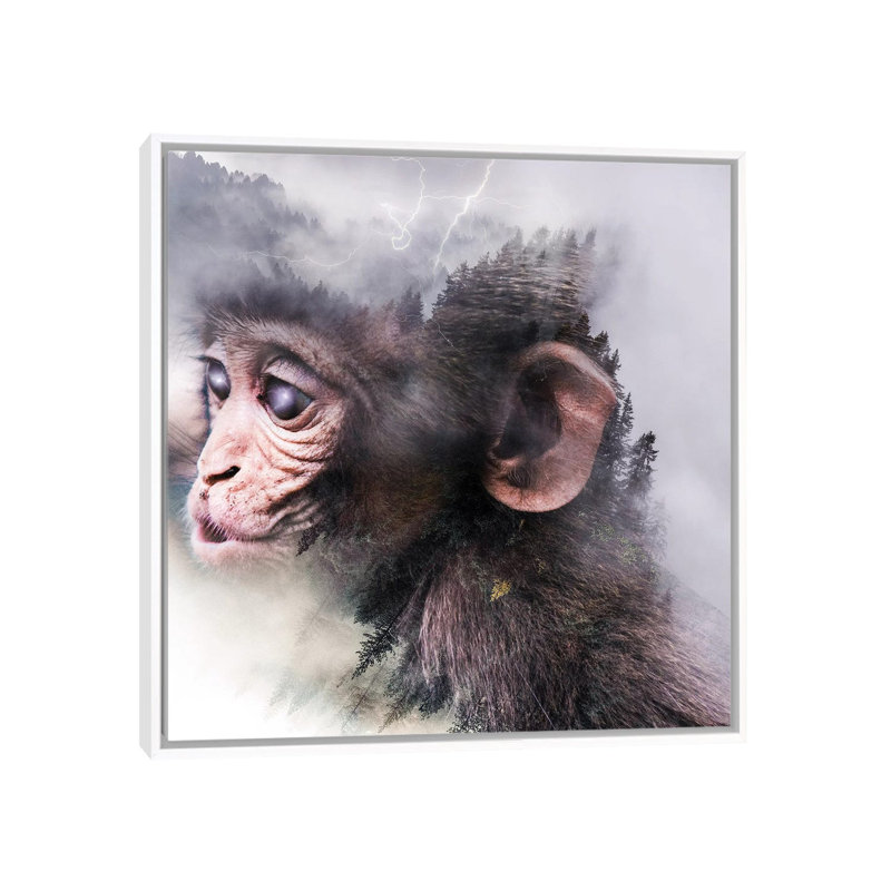 Monkey by Paul Haag - Print on Canvas, 45.72 cm H x 45.72 cm W, White Framed