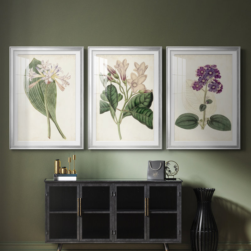 Antique Botanical Collection IV - reproduction encadrée sur mesure de qualité supérieure - 3 pièces, H 27 po x l 39 po