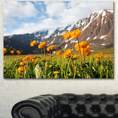 «Mountain Meadow with Yellow Flowers», reproduction de photo sur toile tendue