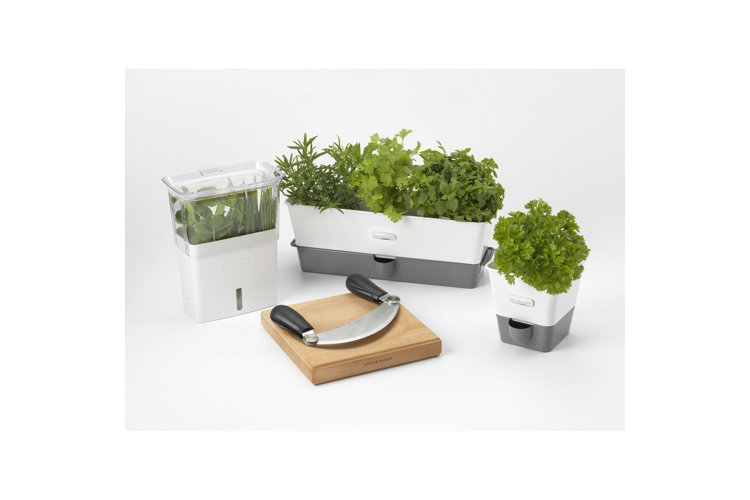 herbs in a storage container