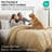 Southshore Fine Linens Vilano Down Alternative Comforter, 240 GSM Double-Brushed Microfiber Oversized All-Season Comforter with Box Stitching, Piped Edges and Corner Tabs, King/California King, Gold-420232234-420232232