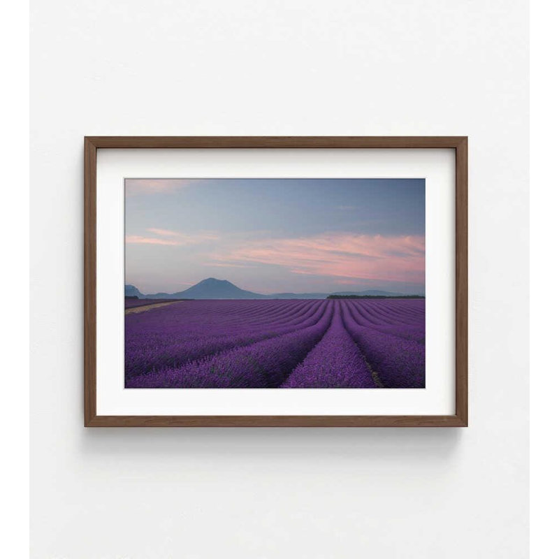 «Lavender Field Print»: aquarelle éclatante sur papier, Framed Print with Mat, Brown, H 18 po x l 24 po