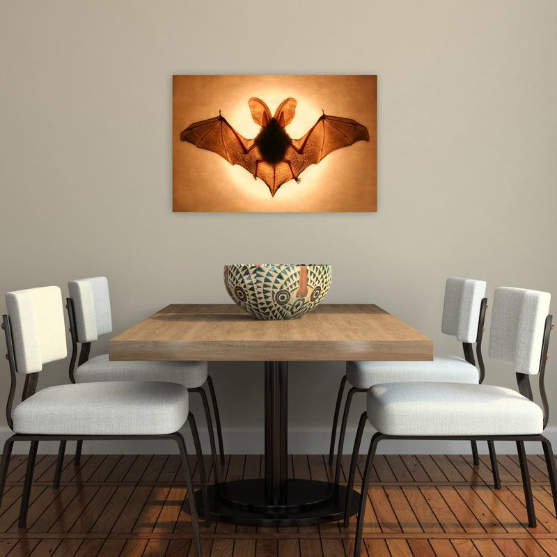 Ailes de chauve-souris - Affiche murale contemporaine représentant des chauves-souris, la nature et la faune, 24" H x 36" W