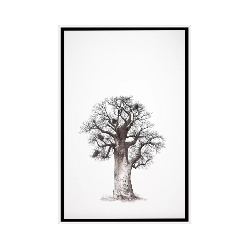 Baobab Legacy V by Klaus Tiedge - Print on Canvas, White Framed, 66.04 cm H x 45.72 cm W