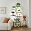 Plant Stand