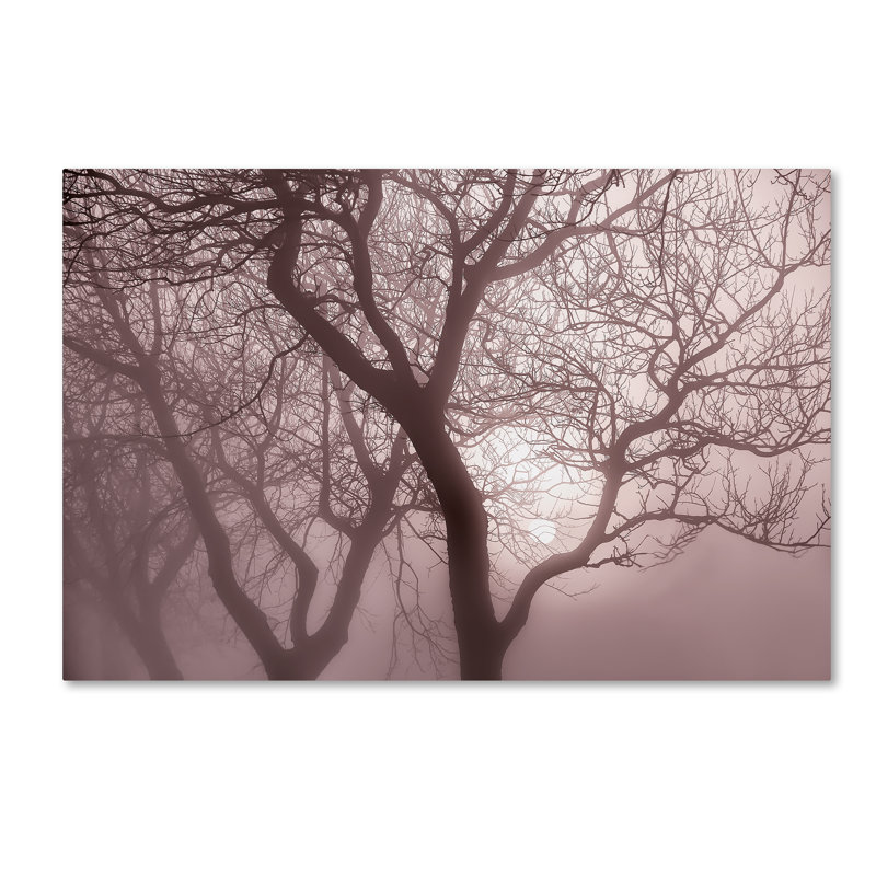 «Hazy Dawn with Tree Tree Silhouettes», reproduction de photo sur toile tendue, H 22 po x l 32 po