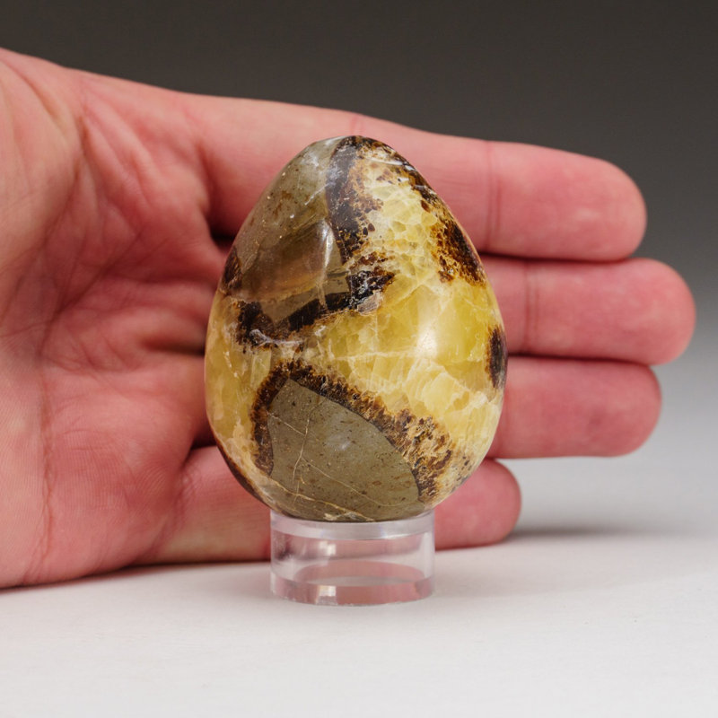 Polished Septarian Egg From Madagascar (175.6 Grams)