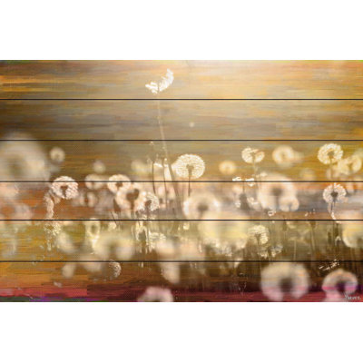 " Field " by Parvez Taj