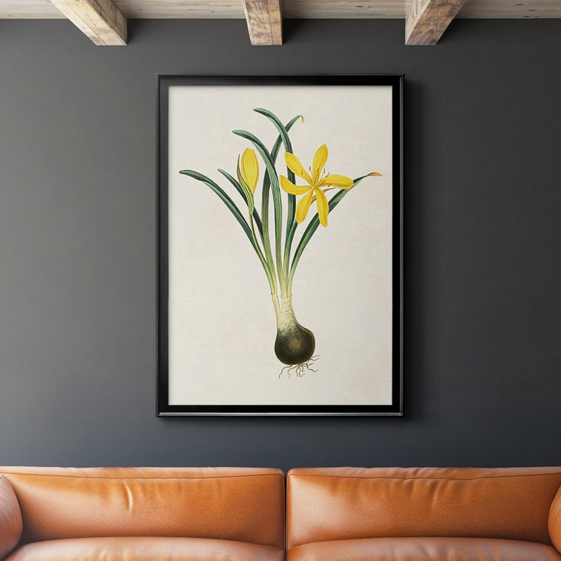 Fleurs des saisons VI, reproduction encadrée de qualité supérieure - prête à être accrochée, Noir