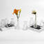 Ensemble de 8 vases transparents 8 pièces