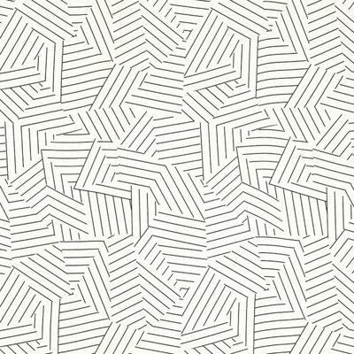 Schumacher x Miles Redd Deconstructed Stripe Fabric