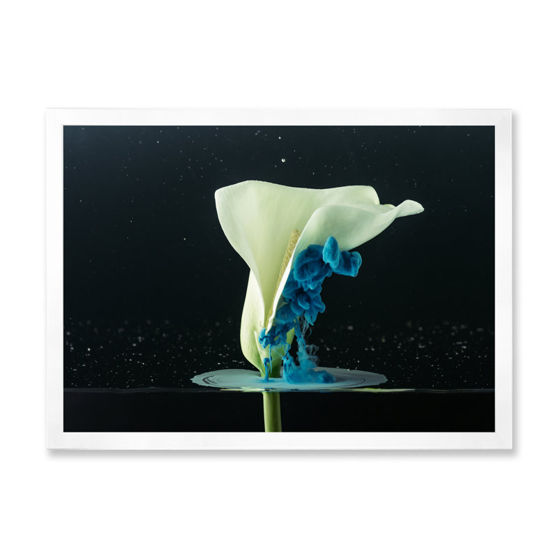 Gros plan sur une fleur blanche tendre - reproduction sur toile avec cadre flottant, H 24 po x l 36 po x P 1 po