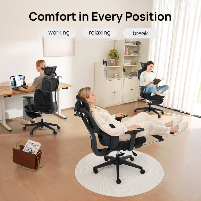 Cablady S1 Embrace Ergonomic Office Chair in Black, Black