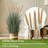 4ft Artificial Onion Grass Plant with 7 Feathery Flower Heads, Faux Horsetail Reed Grass in Pot, Indoor Outdoor Realistic Floor Greenery for Home Office Décor-926450179