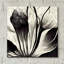 «Flowers Black White 3» par Ray Heere-101672421