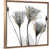 Natural Floating Frame Canvas is unavailable