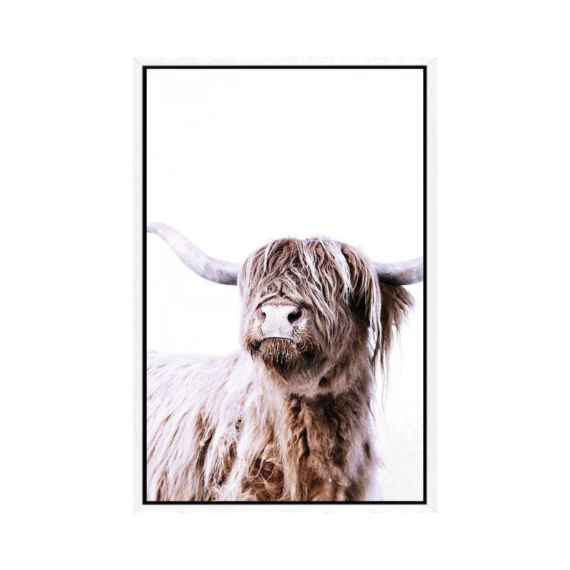 Highland Cattle Frida by Monika Strigel - Print on Canvas, 101.6 cm H x 66.04 cm W, White Framed